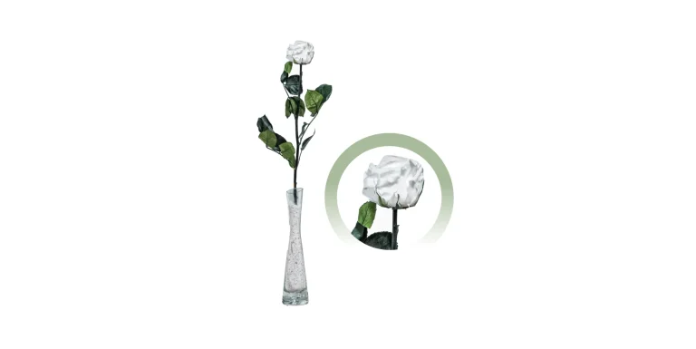 1-rosa-blanca-preservada-para-el-recuerdo