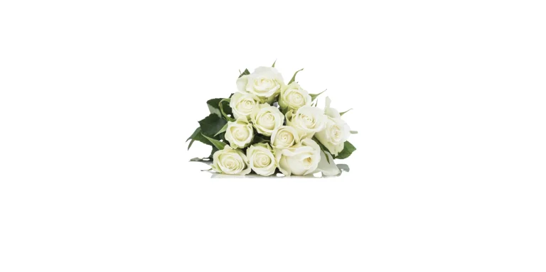 ramo-de-rosas-blancas