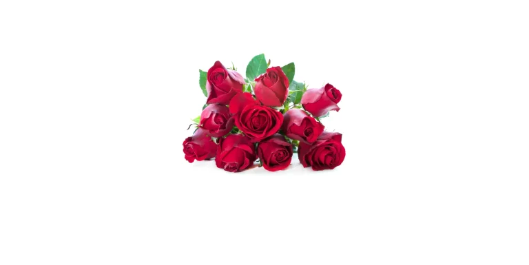 ramo-de-rosas-rojas