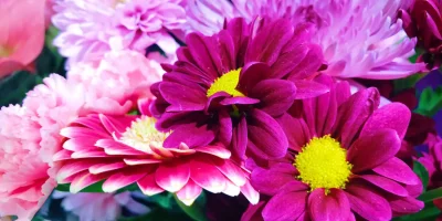 Motivos por los que llevamos flores para la despedida de un ser querido