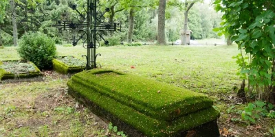 funerales-verdes-opciones-ecologicas-sostenibles-final-vida-1044
